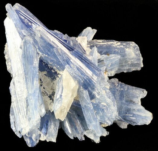 Vibrant Blue Kyanite Crystals In Quartz - Brazil #56937